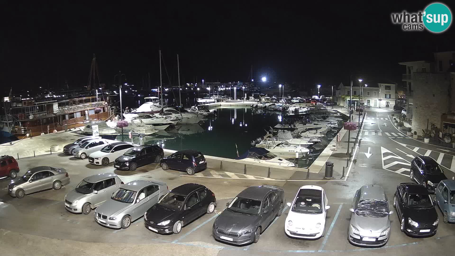 Novigrad | Porporela marina