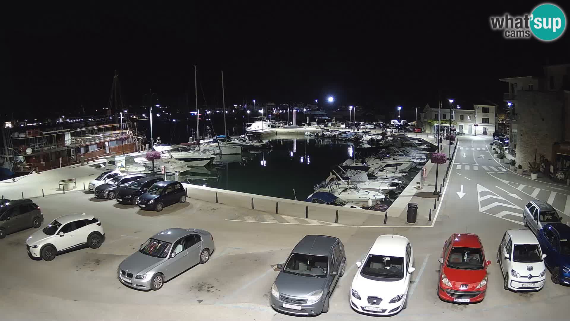 Novigrad | Porporela marina