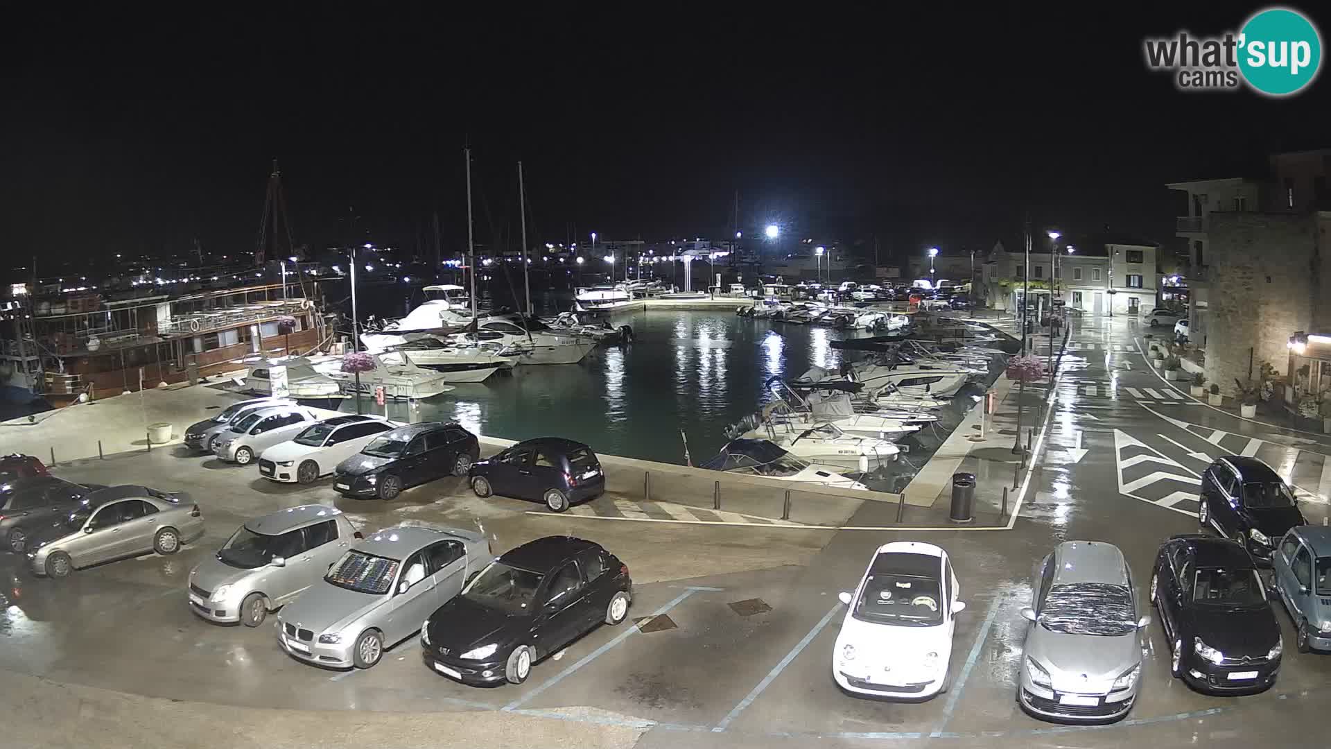 Novigrad | Porporela marina