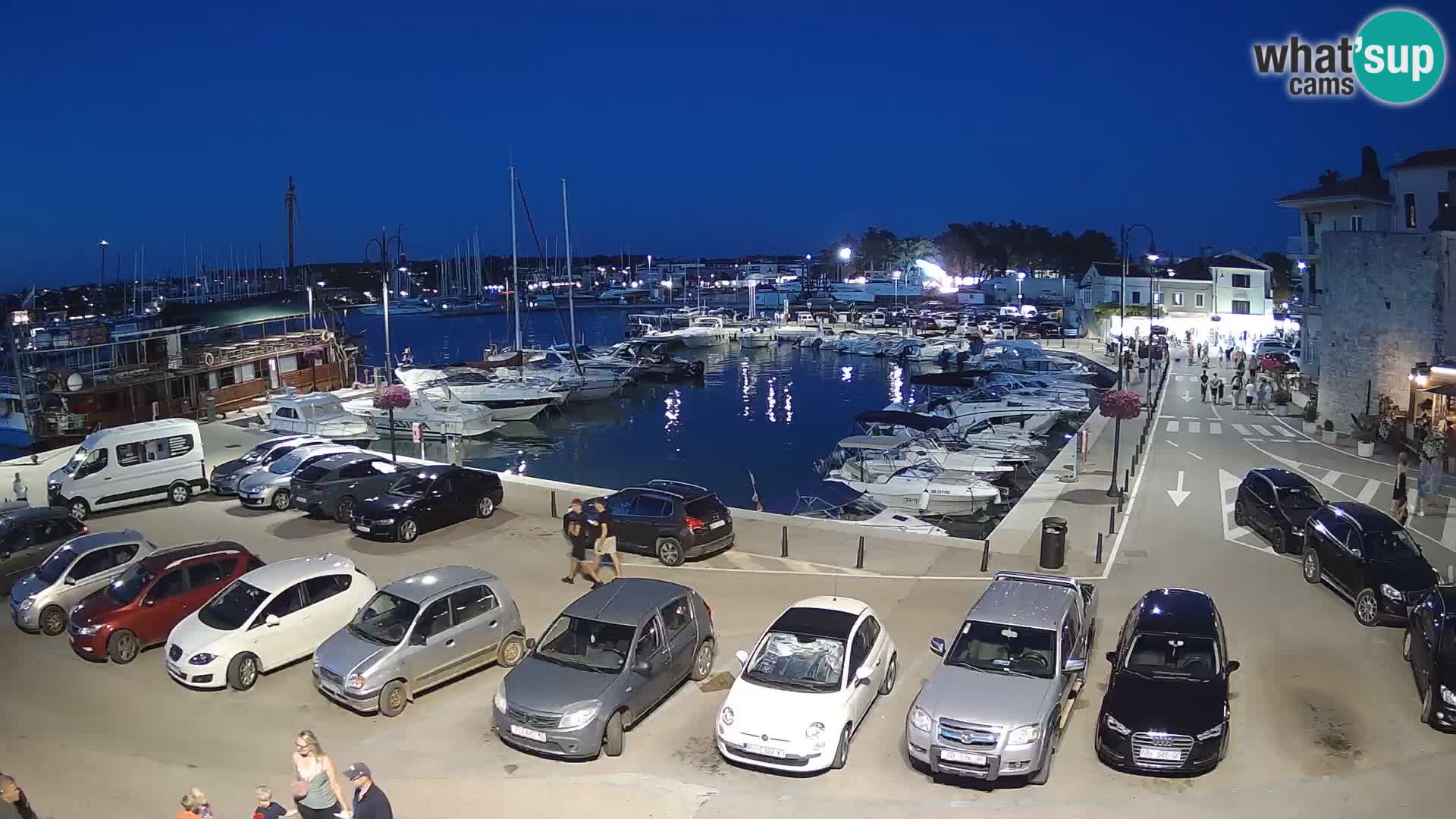 Novigrad | Porporela marina