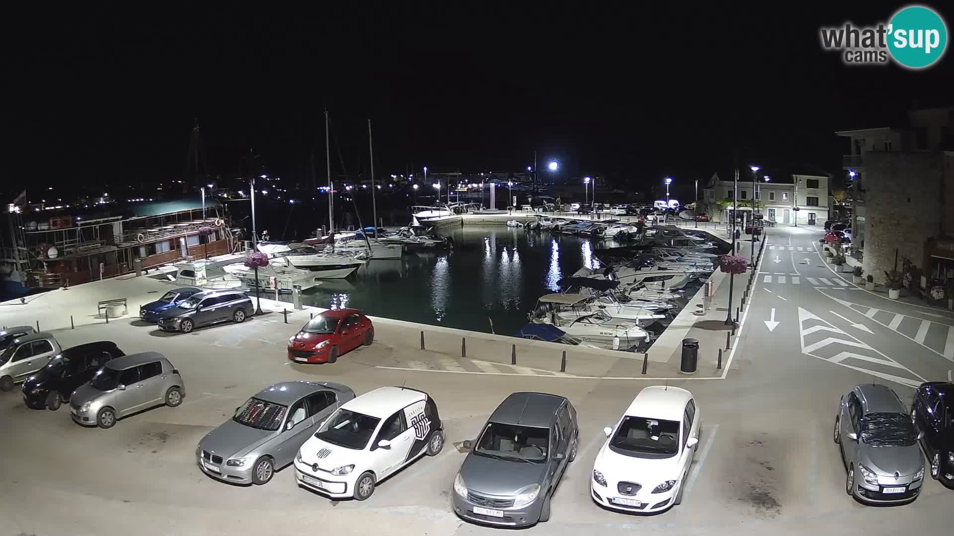Novigrad | Porporela marina