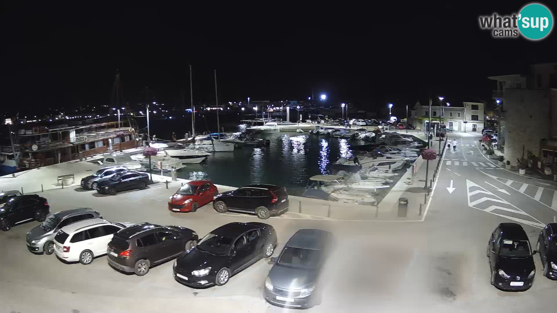 Novigrad | Porporela marina