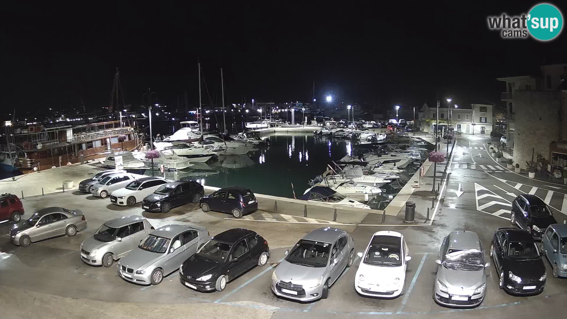 Novigrad | Porporela marina