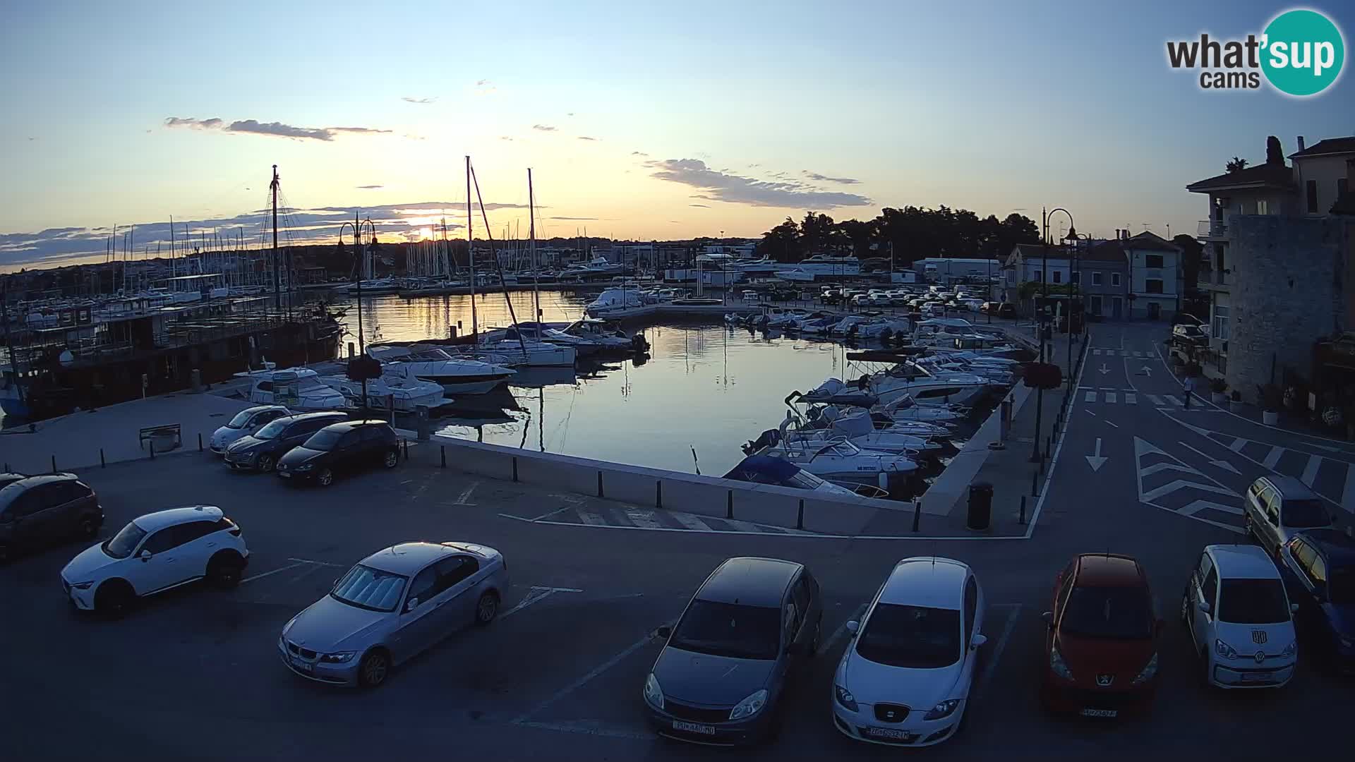 Novigrad | Porporela marina