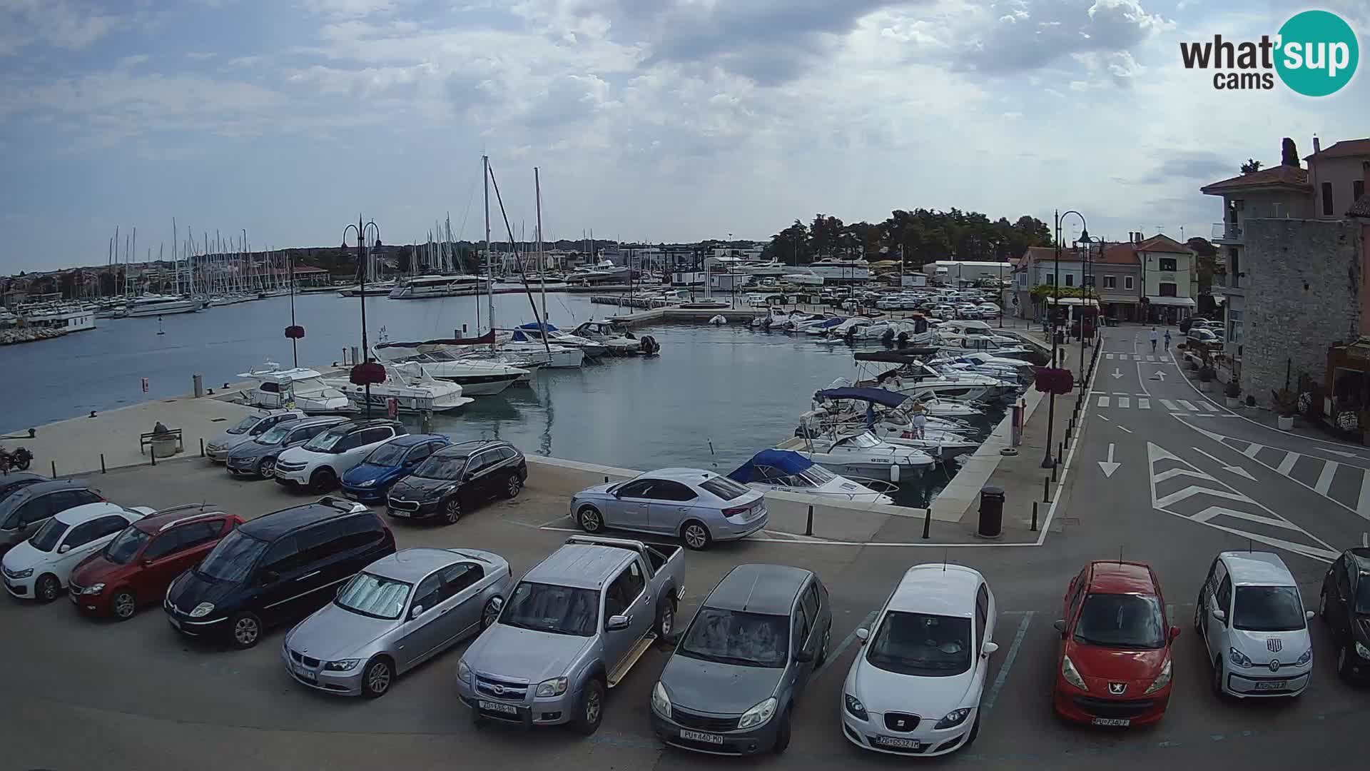 Novigrad | Porporela marina