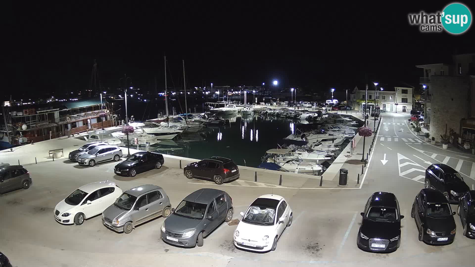 Novigrad | Porporela marina