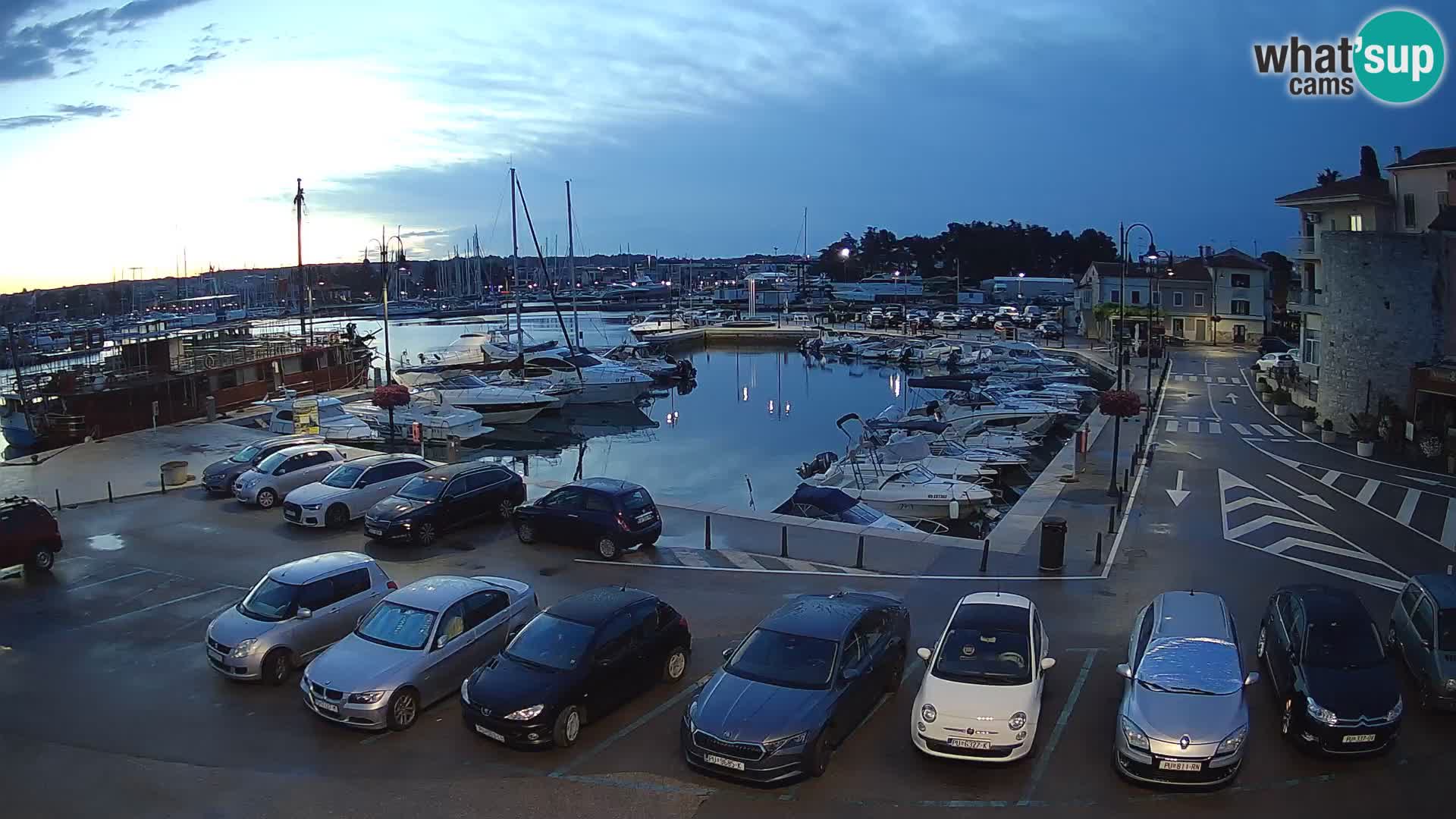 Novigrad | Porporela marina