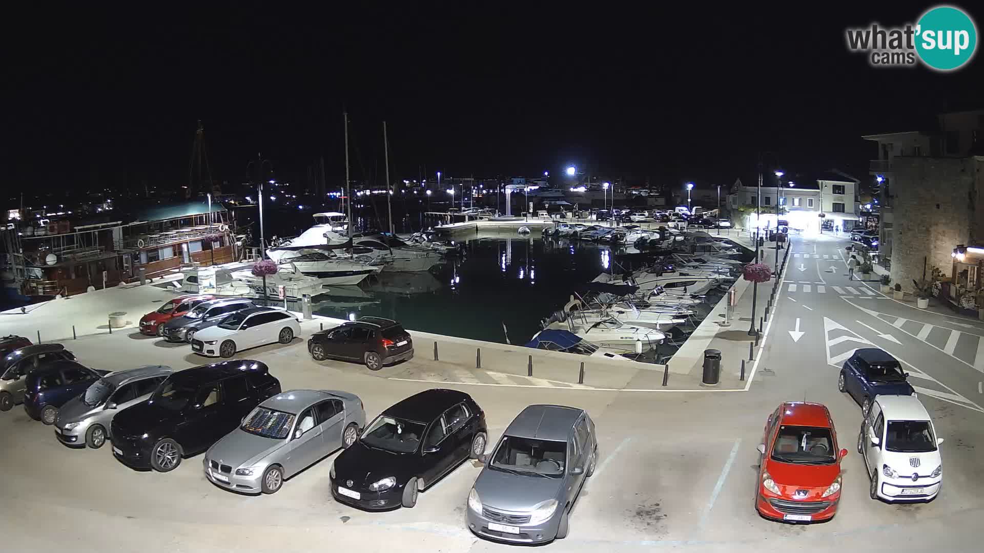 Novigrad | Porporela marina