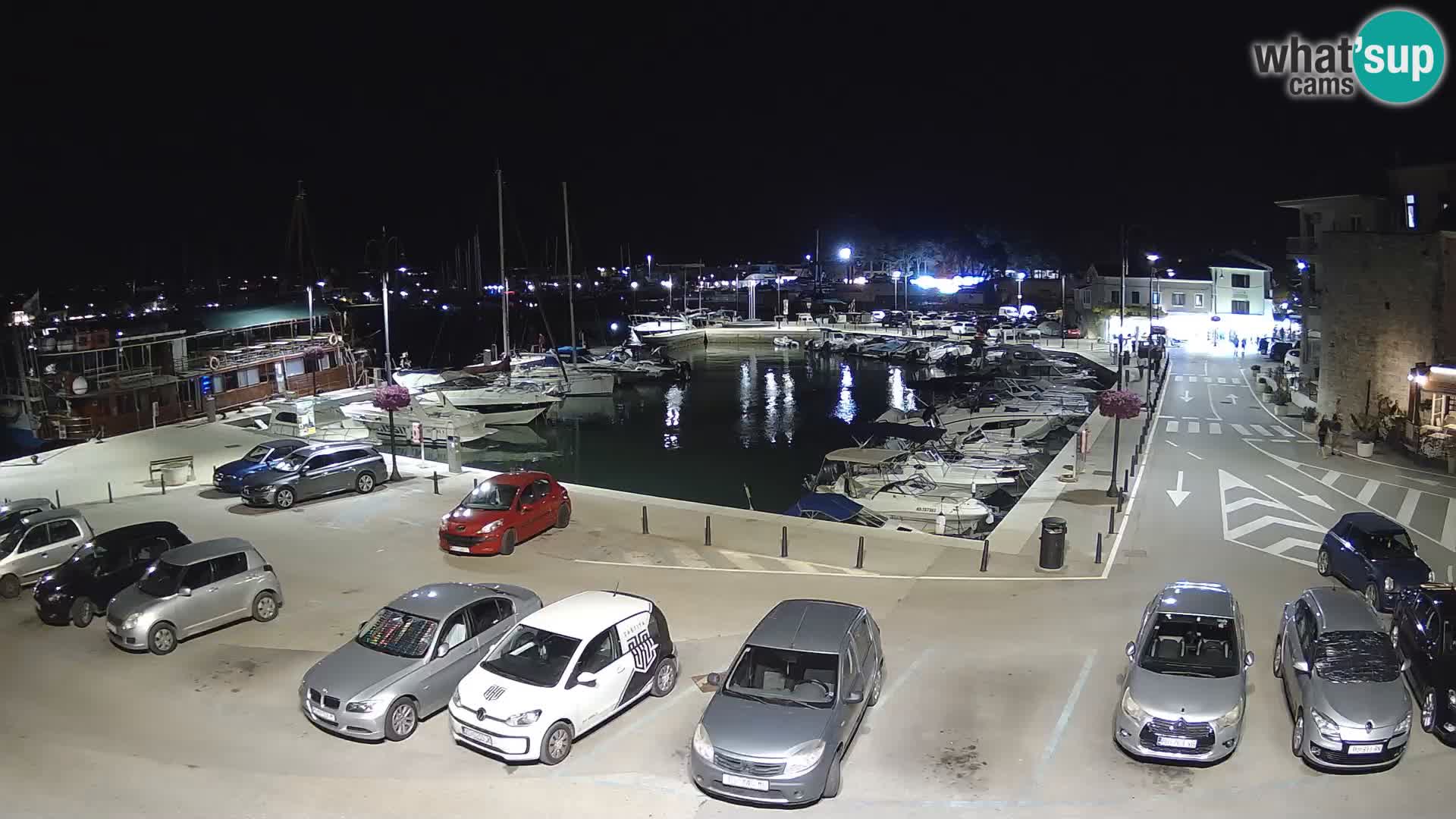 Novigrad | Porporela marina