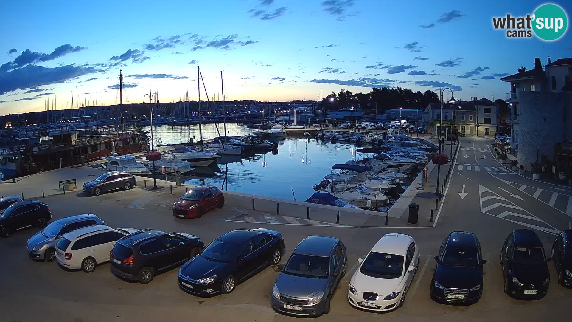 Novigrad | Porporela marina