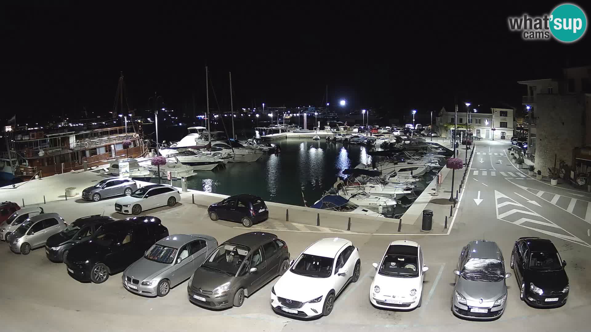 Novigrad | Porporela marina