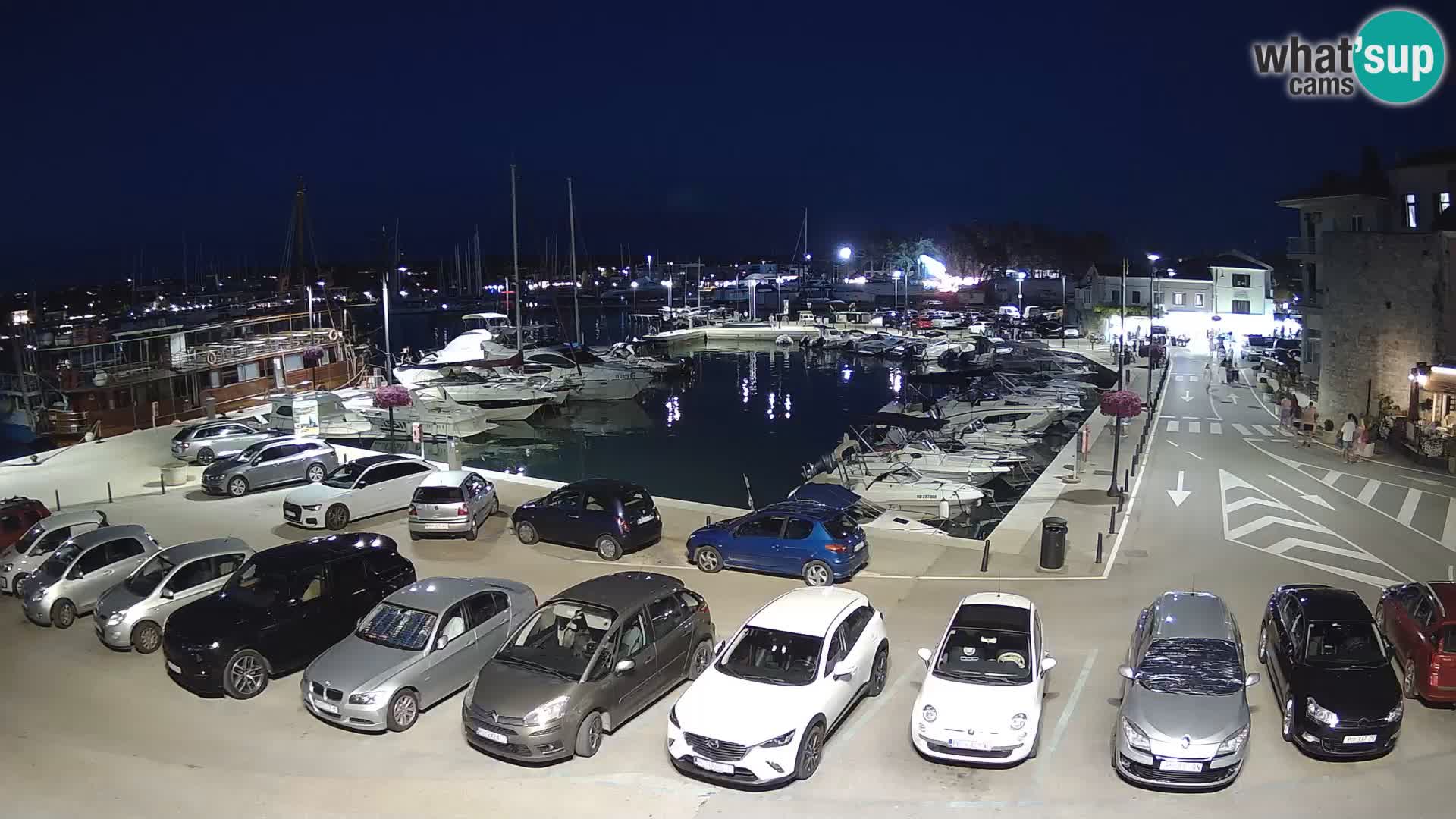 Novigrad | Porporela marina