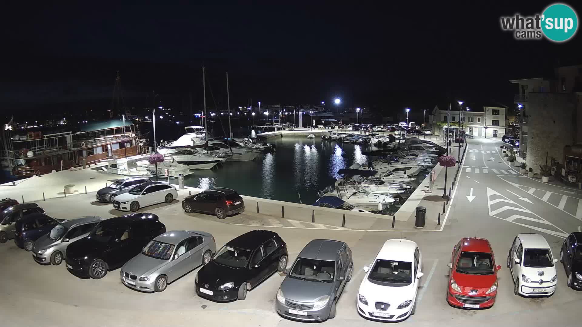 Novigrad | Porporela marina