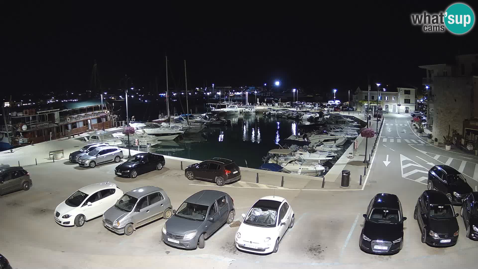 Novigrad | Porporela marina