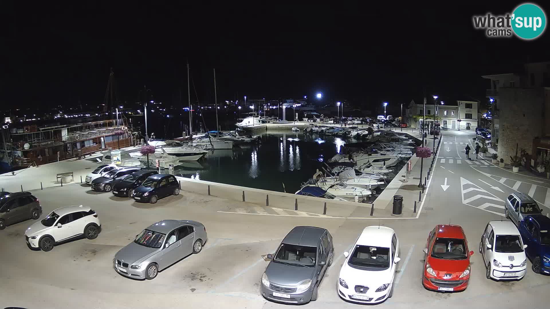 Novigrad | Porporela marina