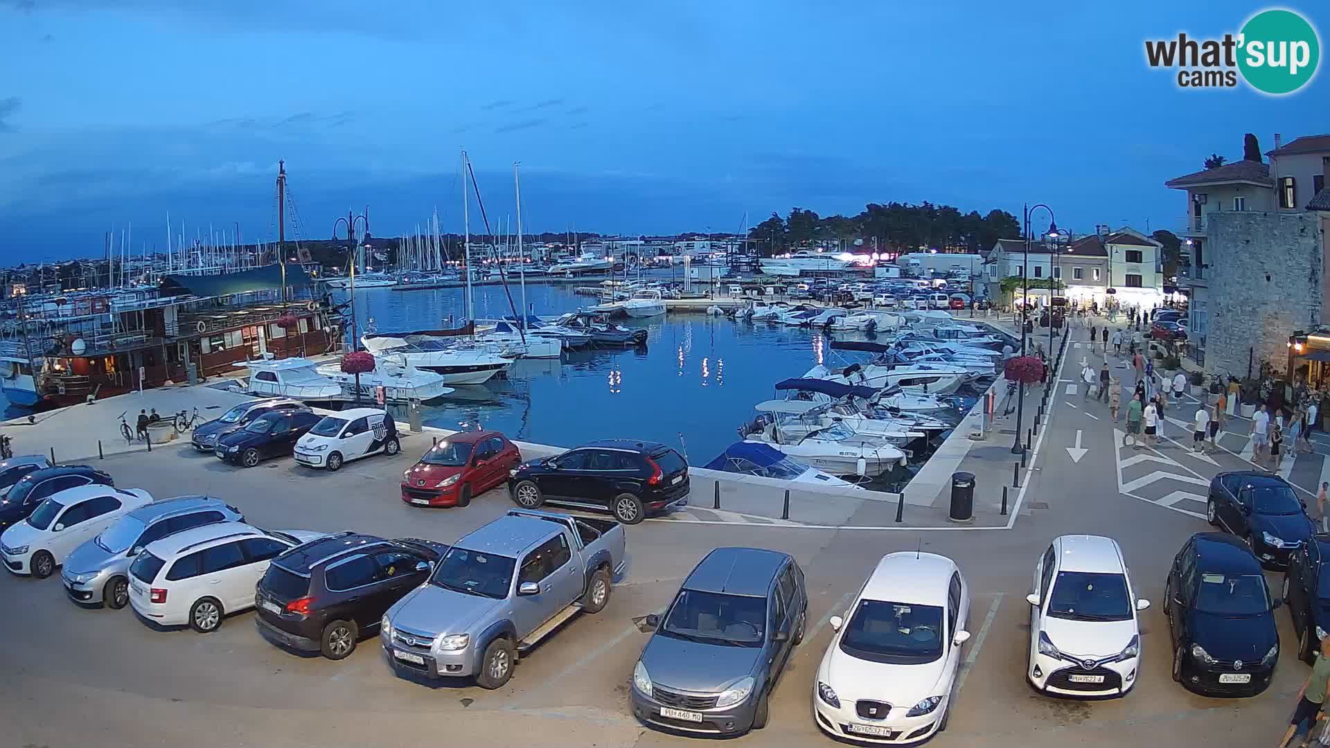 Novigrad | Porporela marina