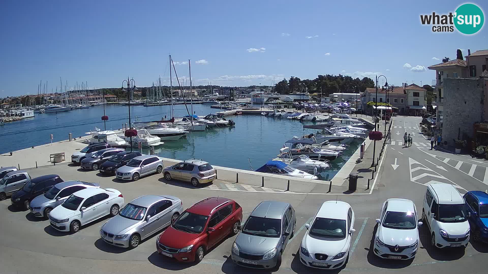 Novigrad | Porporela marina