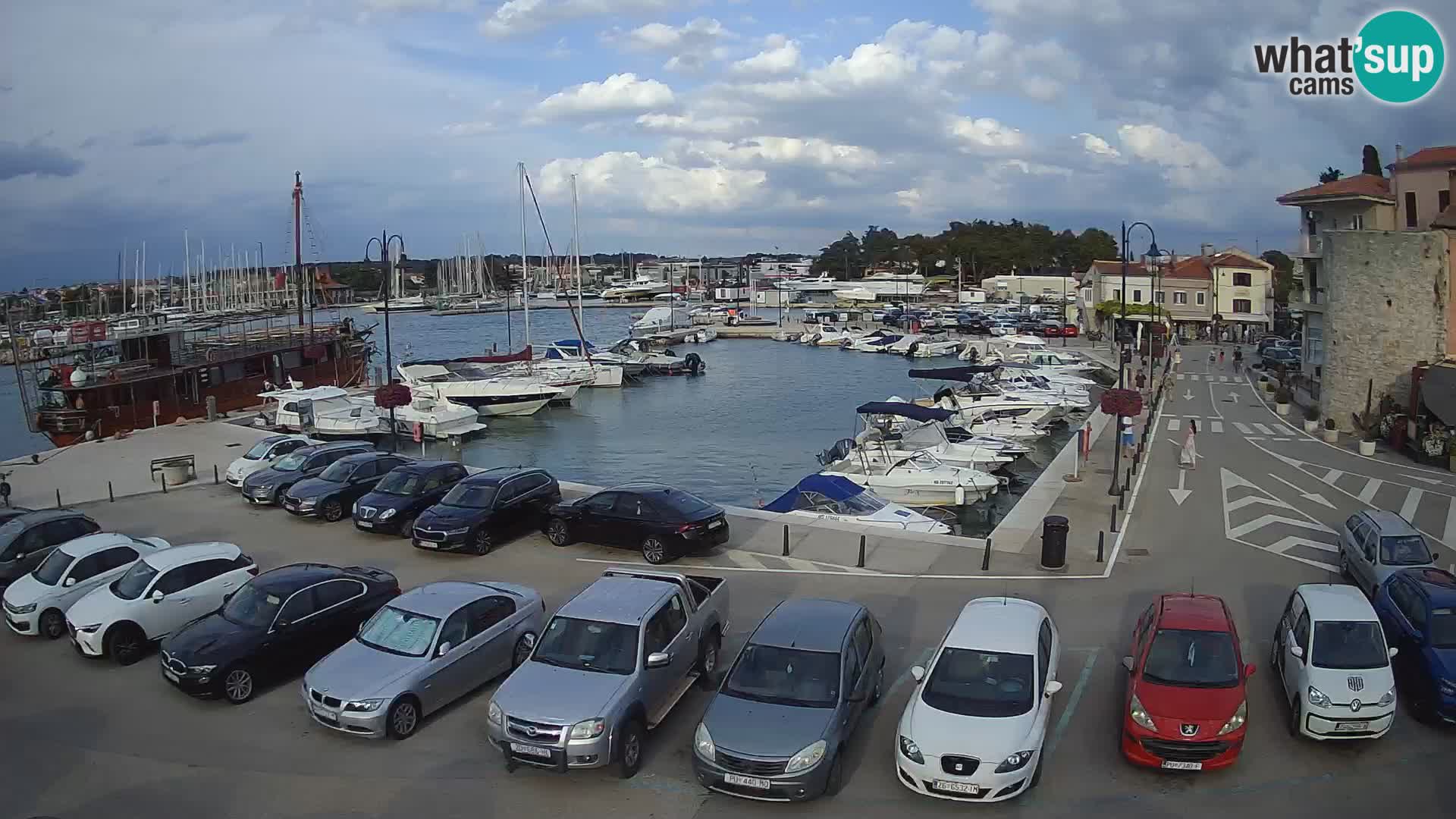 Novigrad | Porporela marina