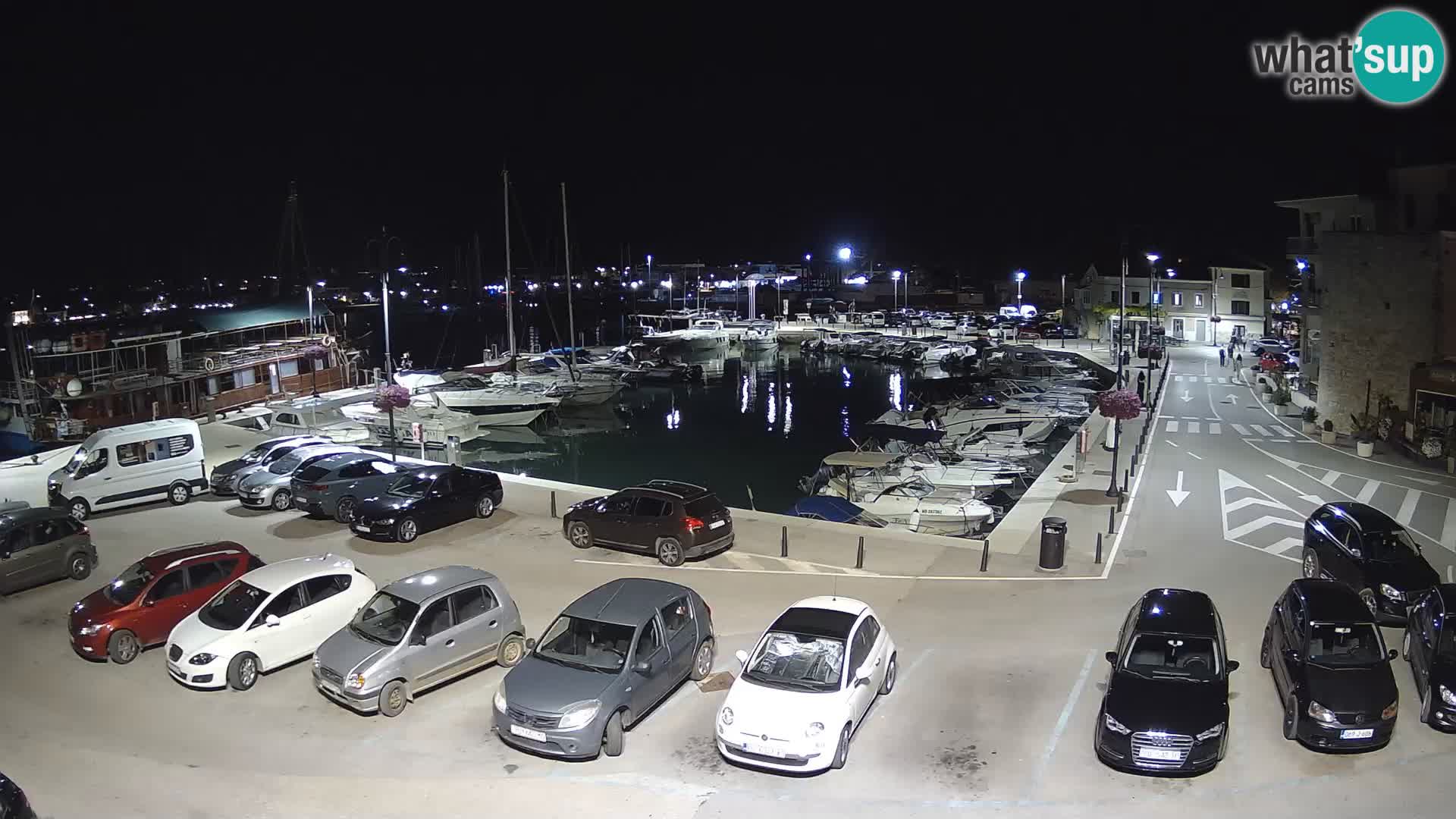 Novigrad | Porporela marina