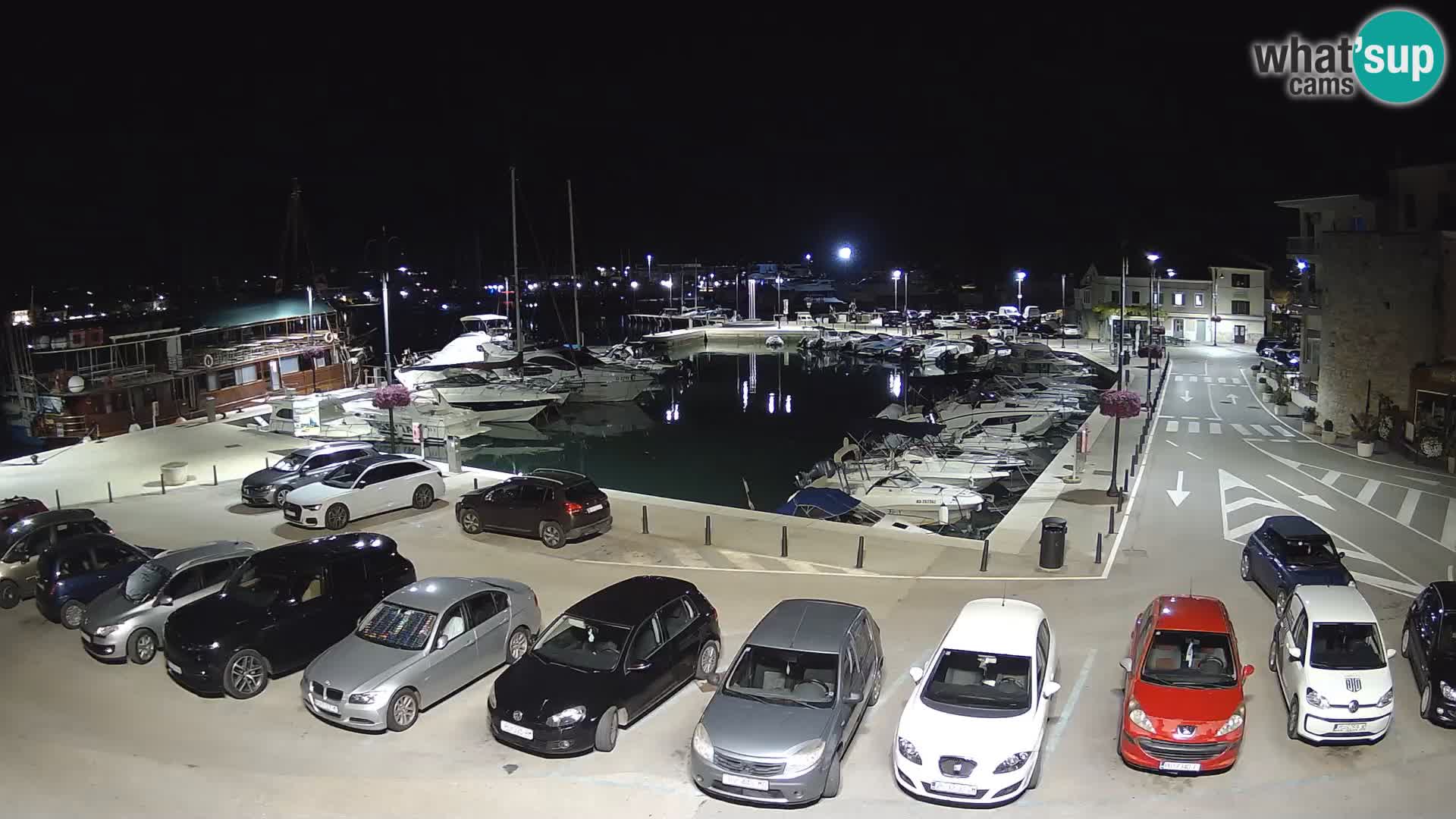 Novigrad | Porporela marina