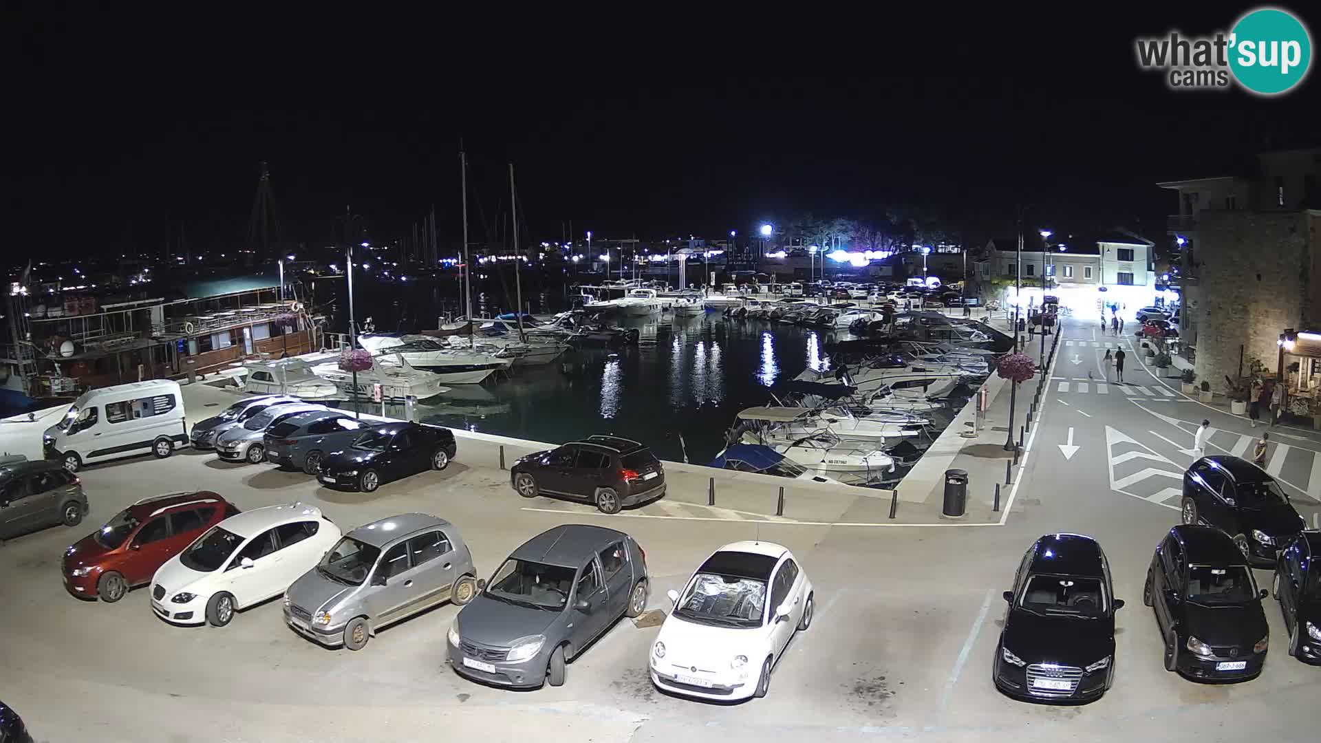 Novigrad | Porporela marina