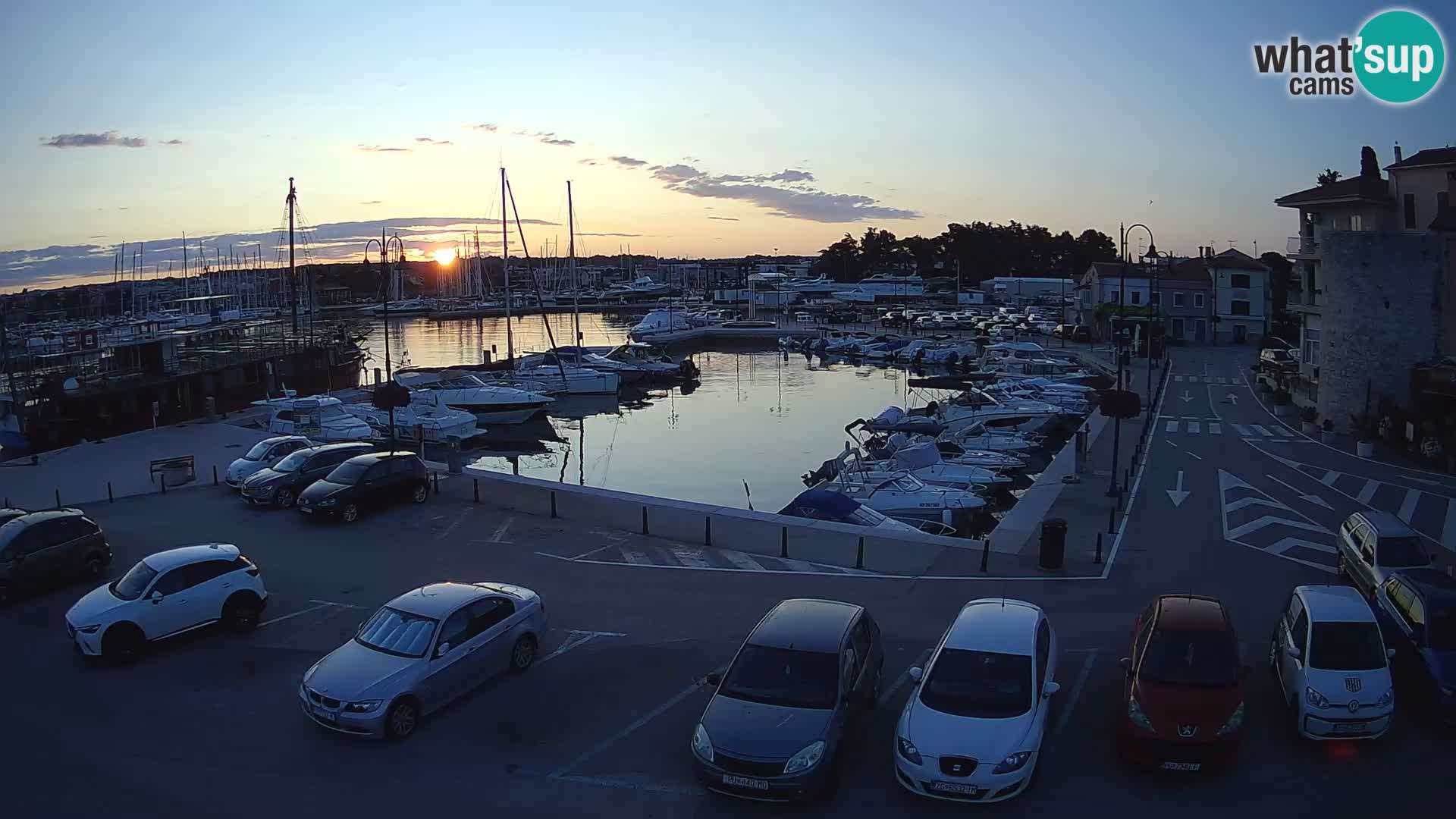 Novigrad | Porporela marina