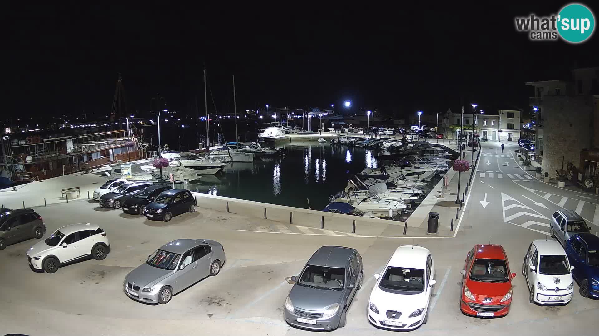 Novigrad | Porporela marina