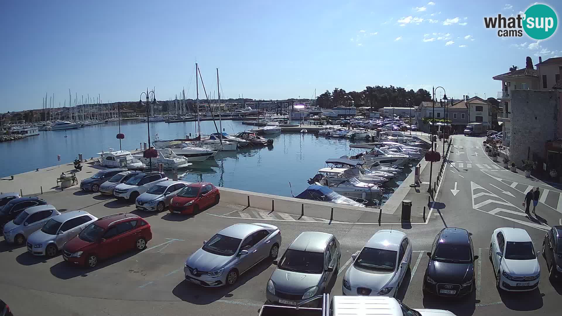 Novigrad | Porporela marina