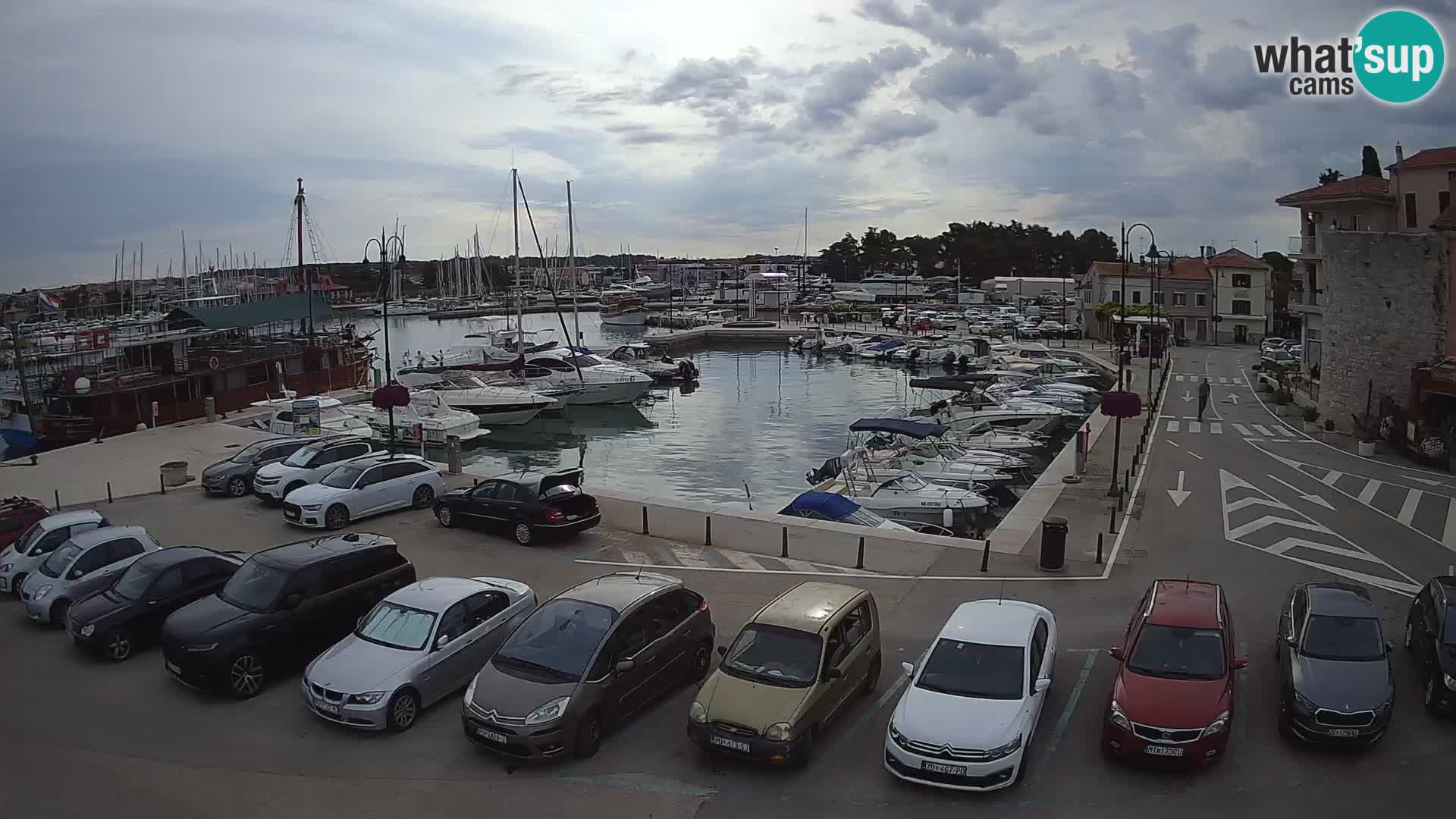 Novigrad | Porporela marina