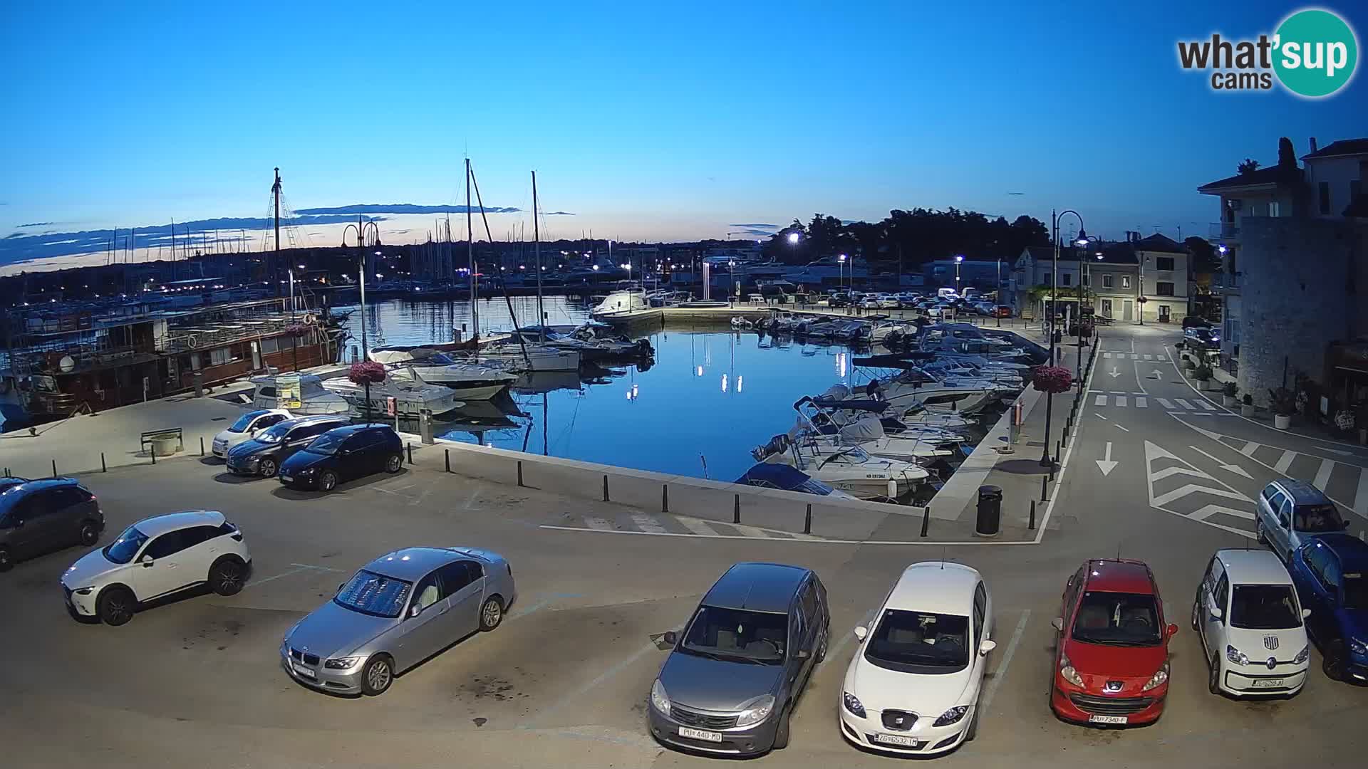 Novigrad | Porporela marina