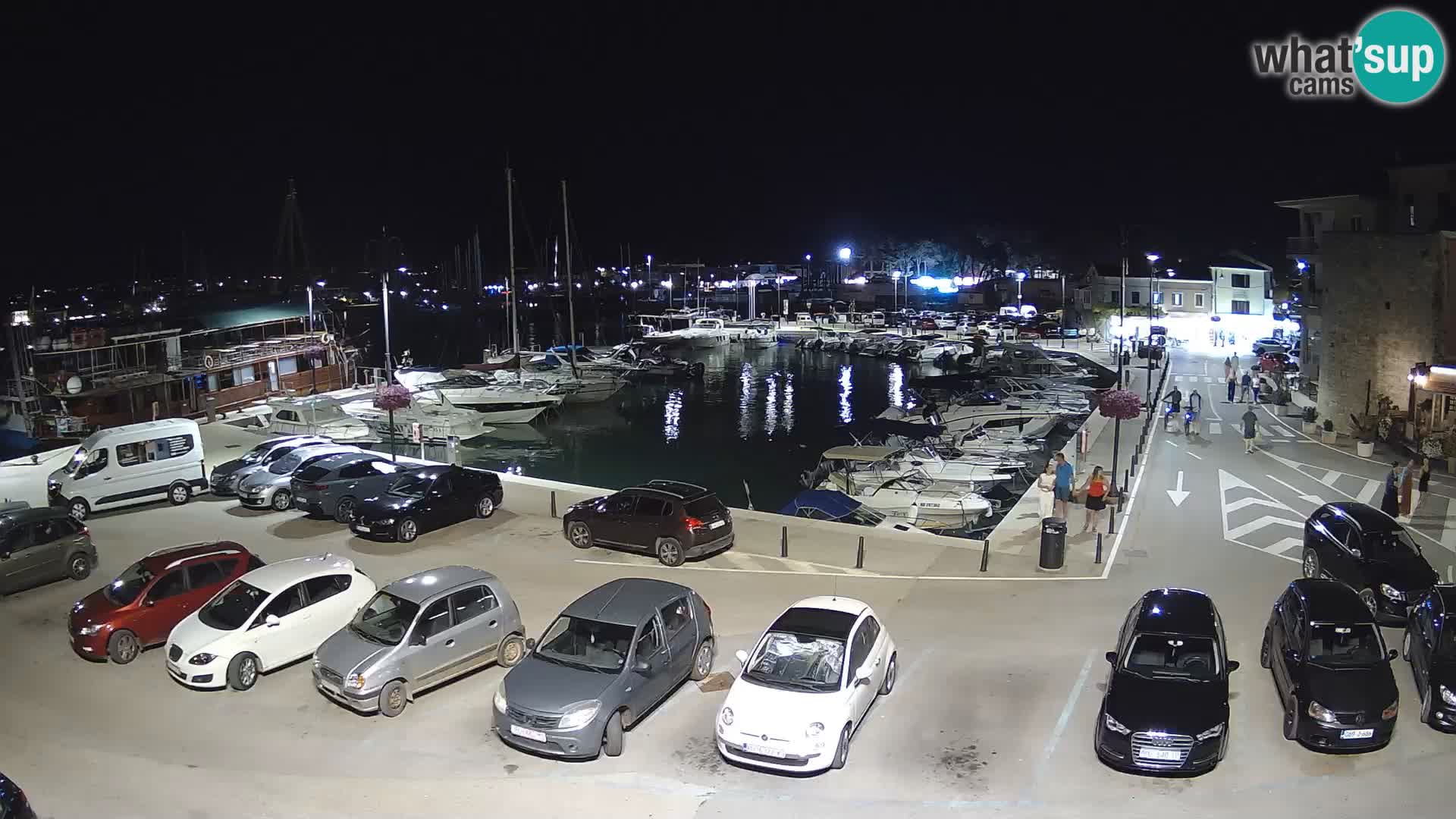 Novigrad | Porporela marina