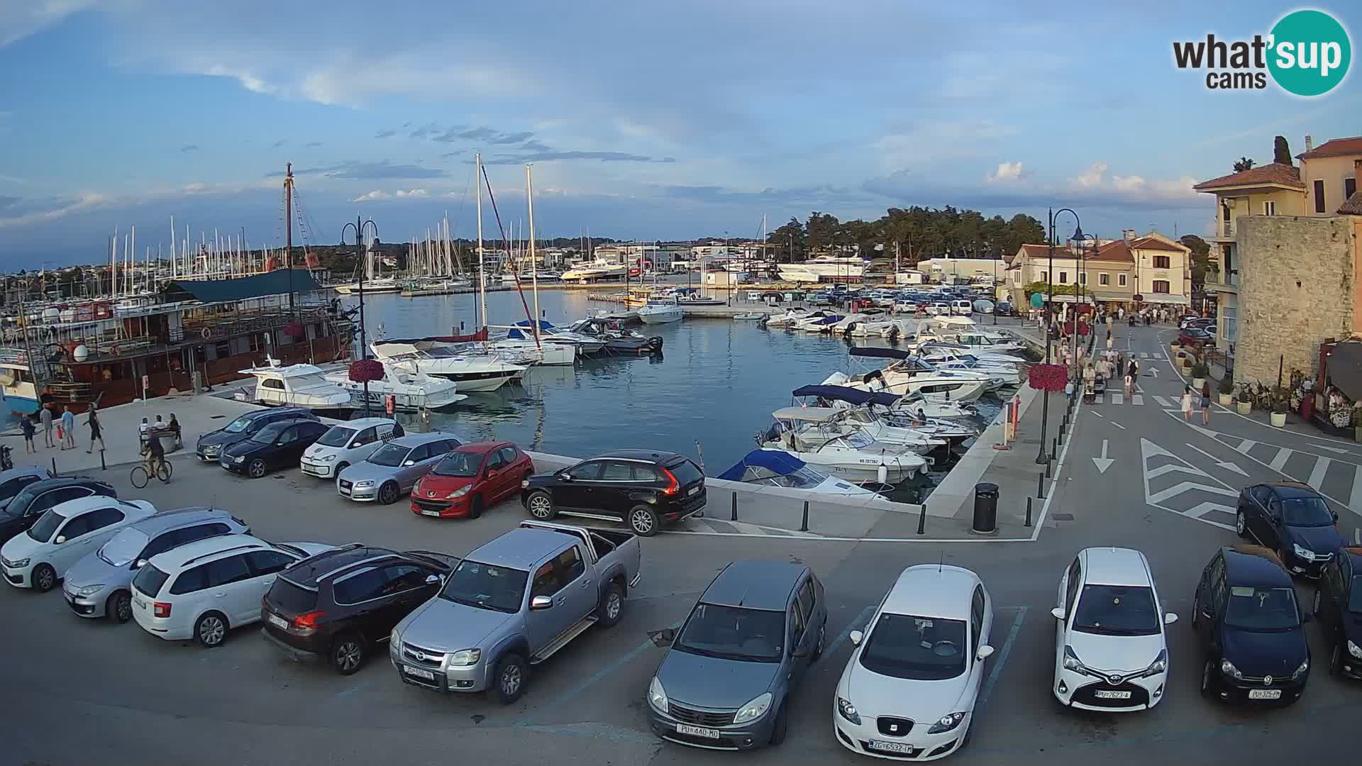 Novigrad | Porporela marina