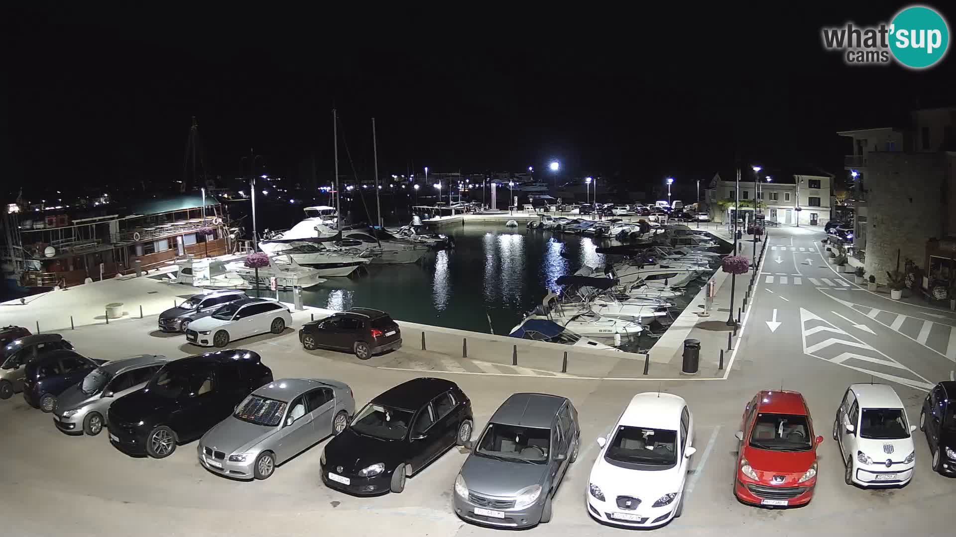 Novigrad | Porporela marina