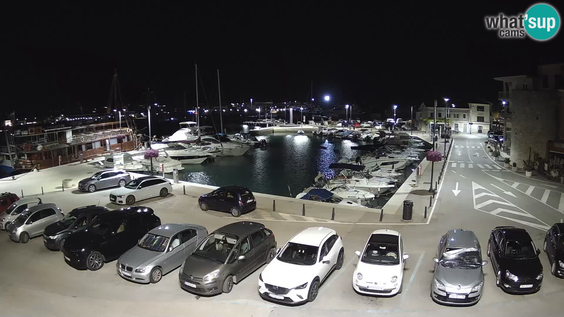 Novigrad | Porporela marina