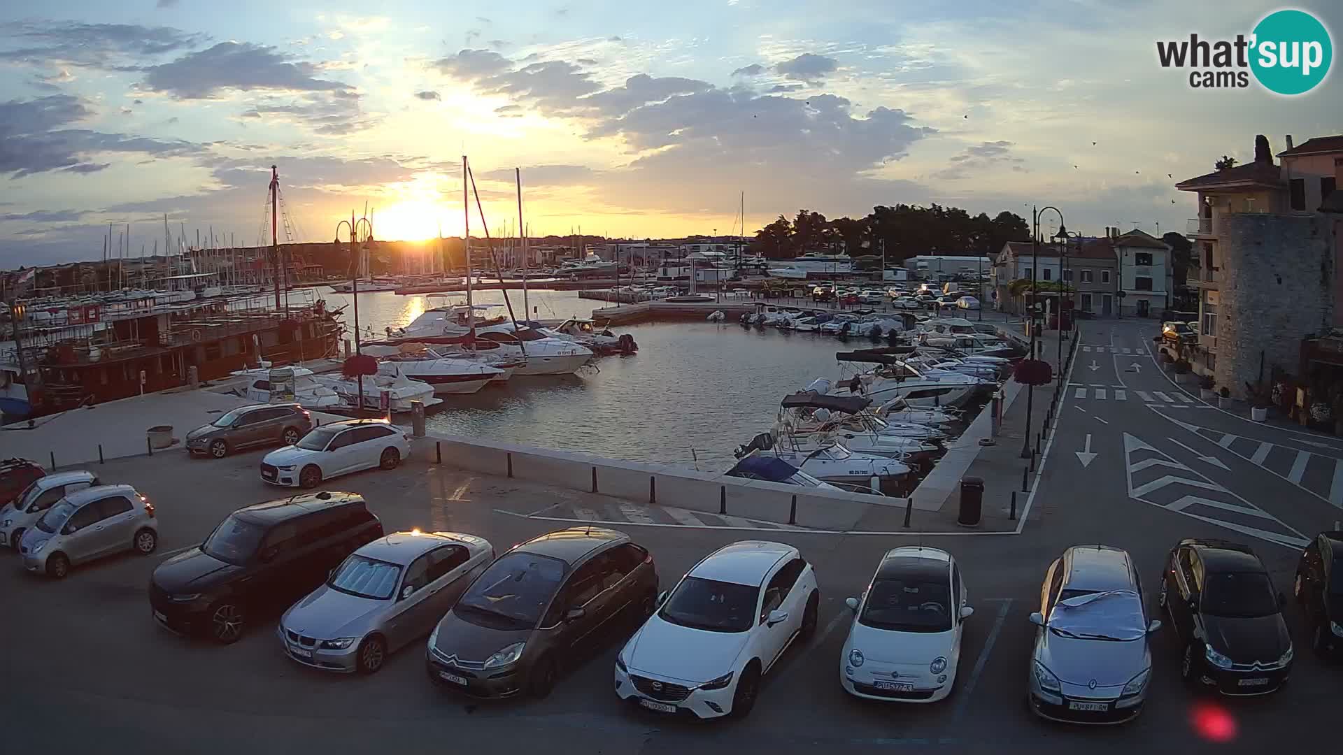 Novigrad | Porporela marina