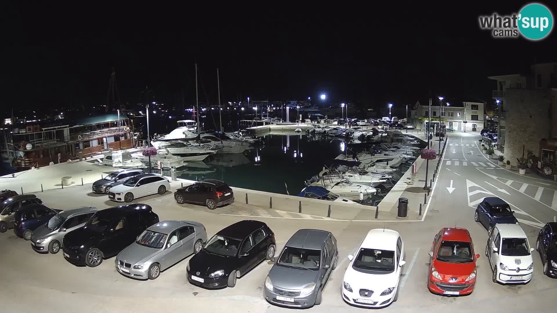 Novigrad | Porporela marina