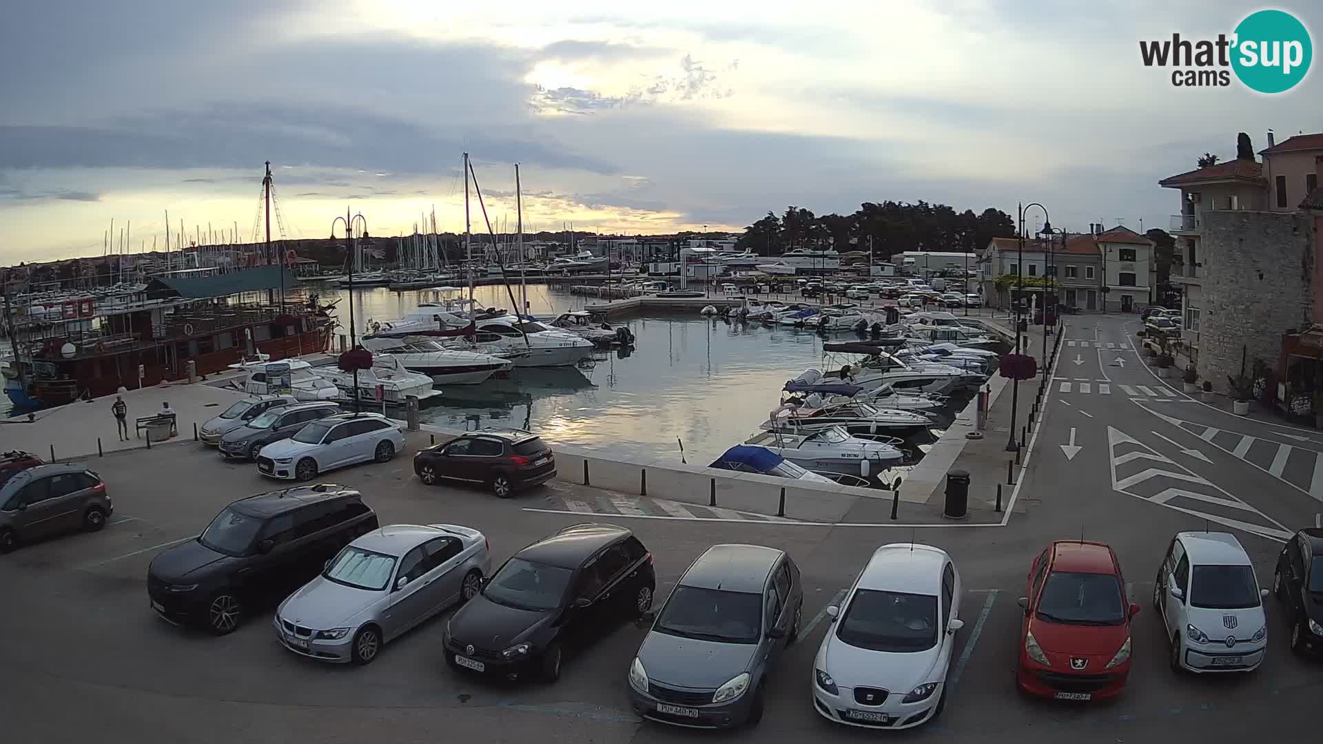 Novigrad | Porporela marina