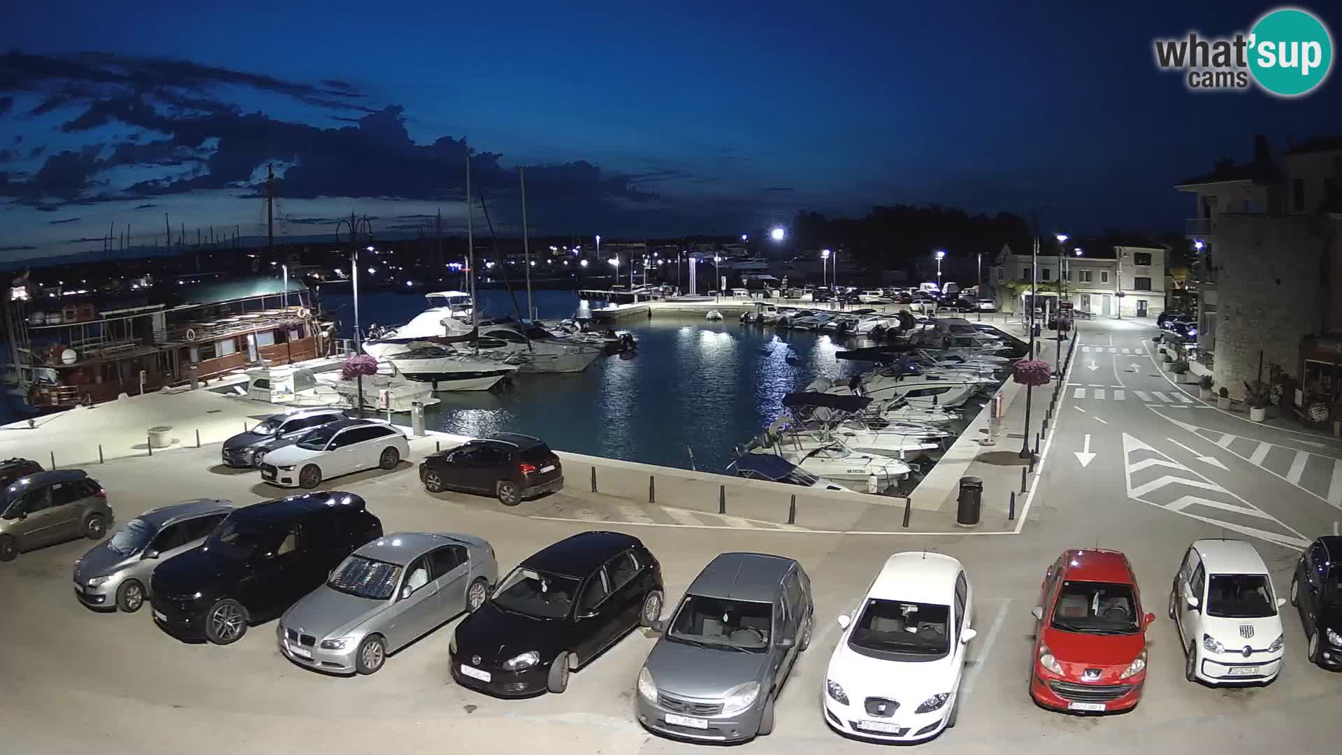 Novigrad | Porporela marina