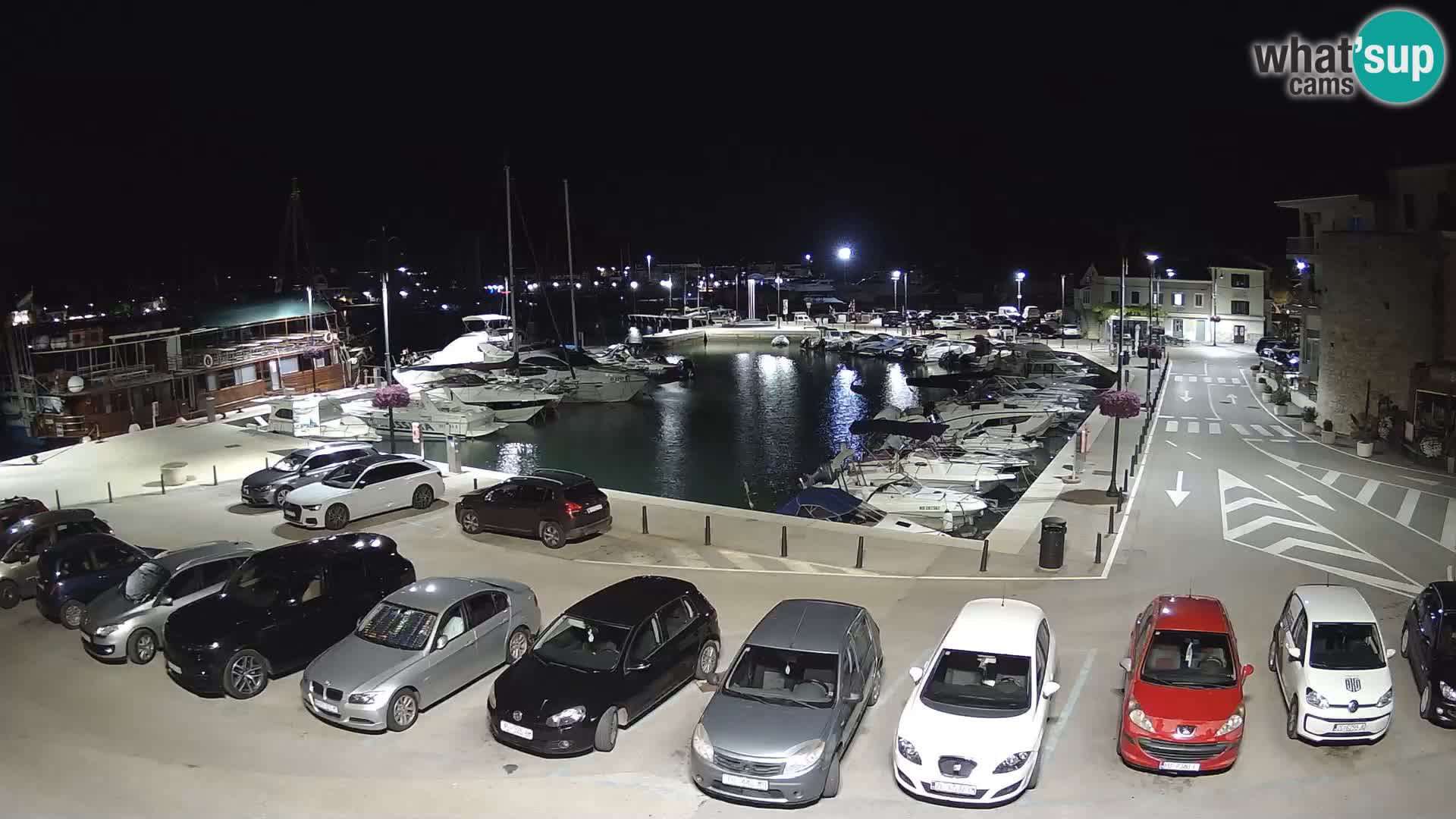 Novigrad | Porporela marina