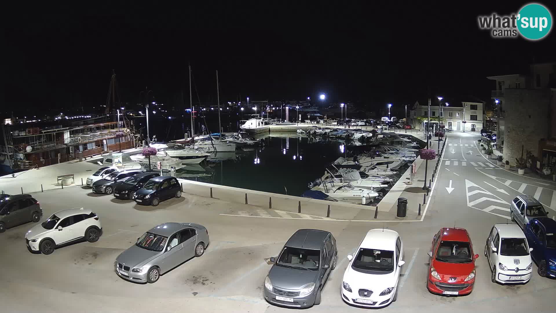 Novigrad | Porporela marina