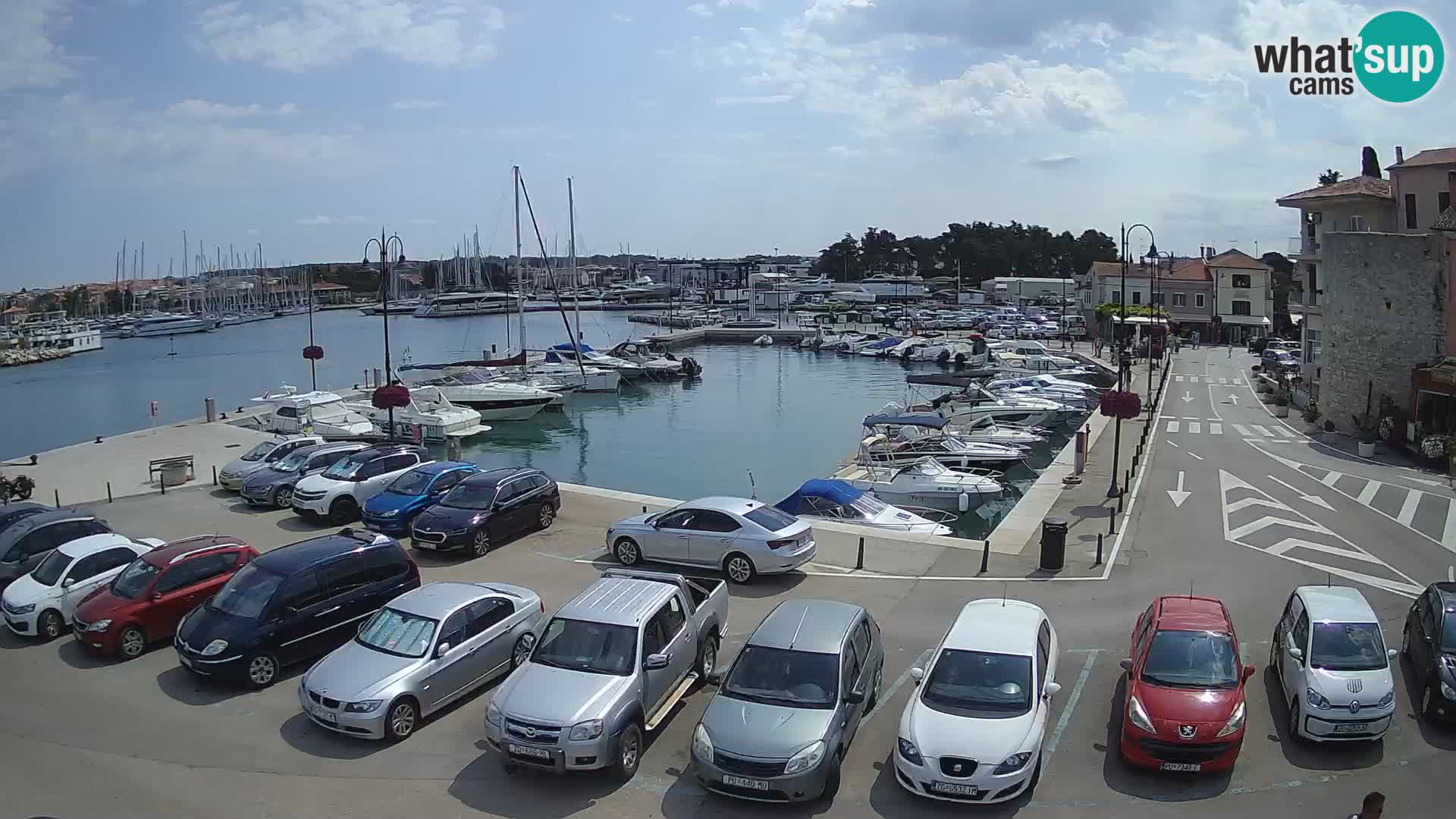 Novigrad | Porporela marina