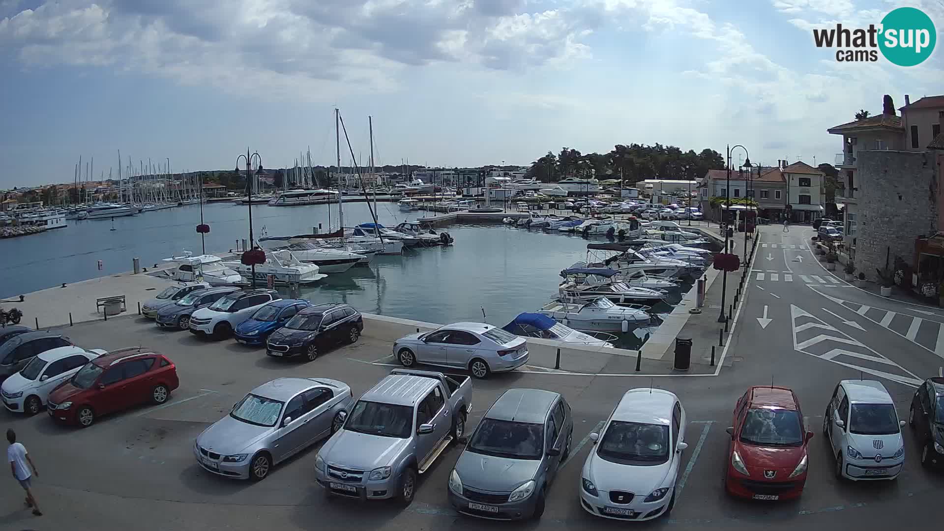 Novigrad | Porporela marina