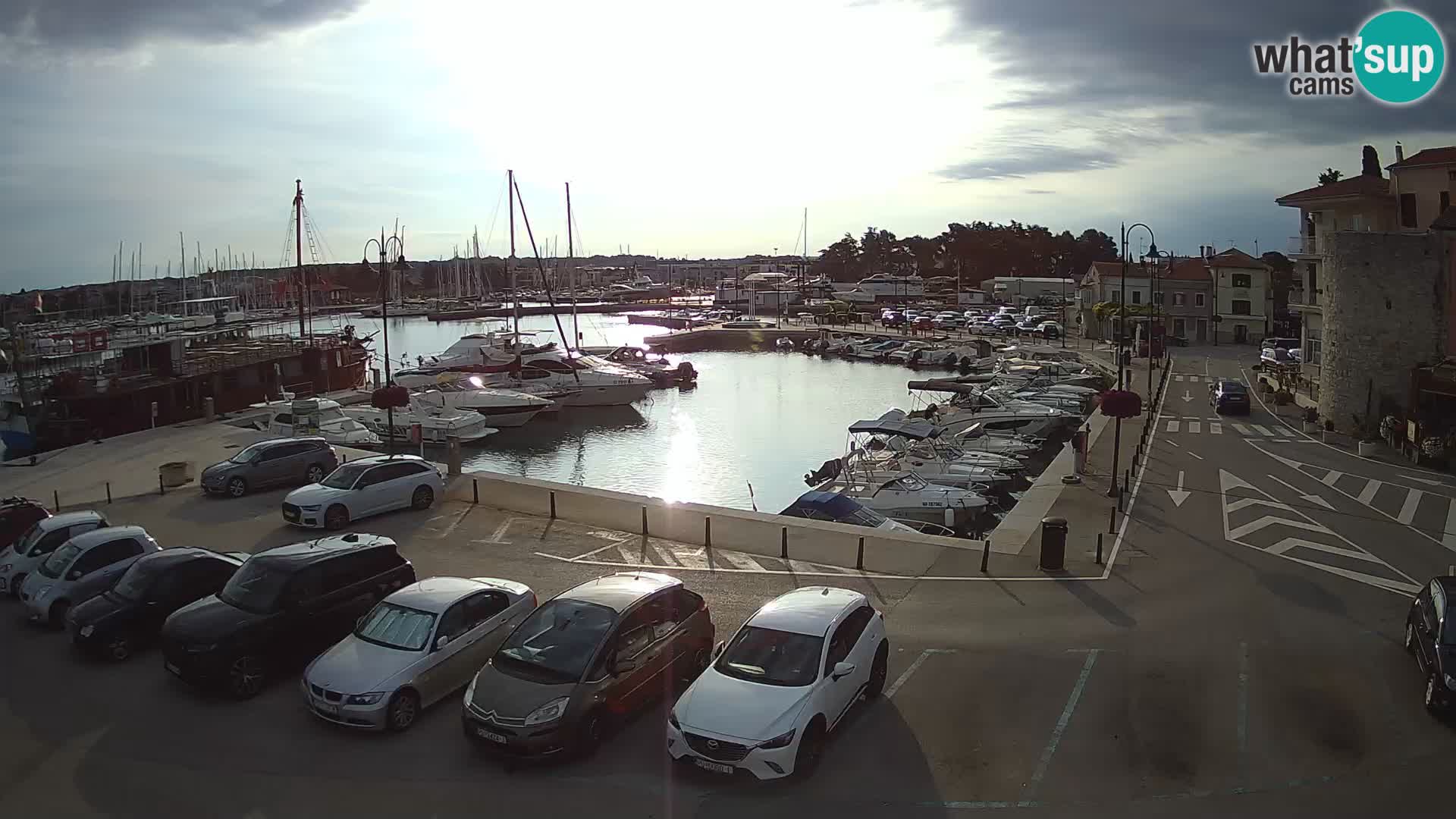 Novigrad | Porporela marina