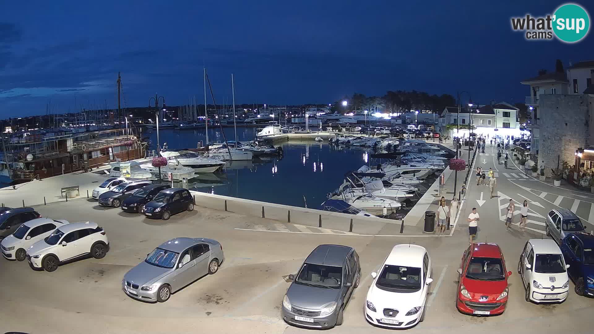 Novigrad | Porporela marina