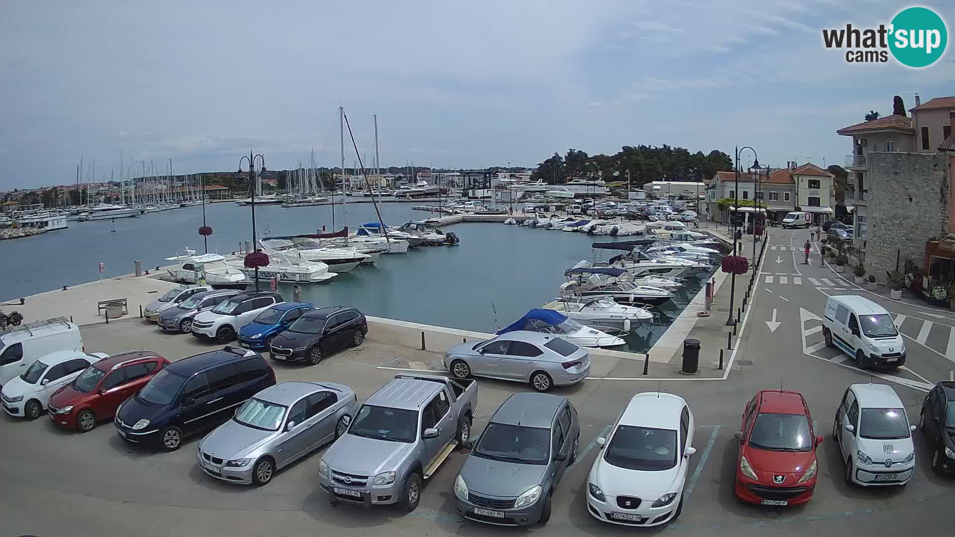 Novigrad | Porporela marina