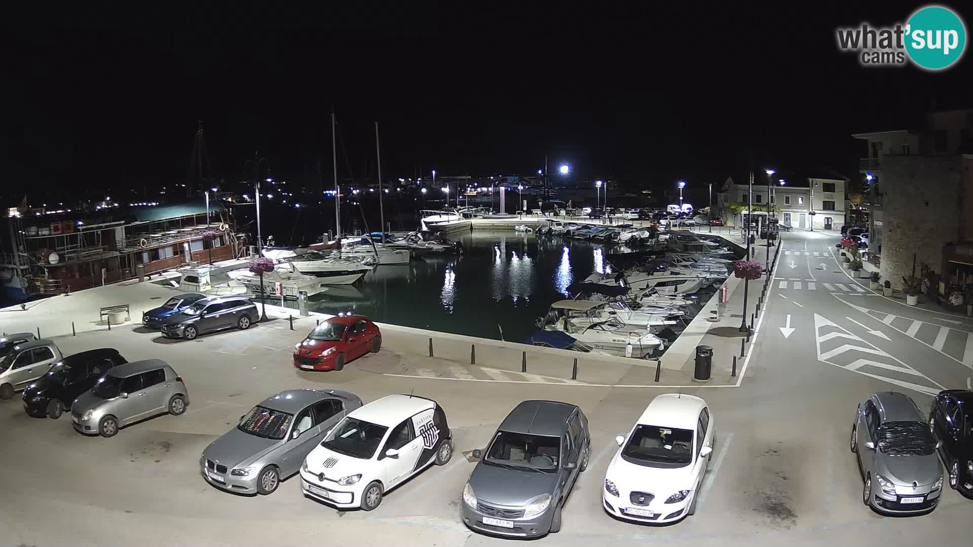 Novigrad | Porporela marina