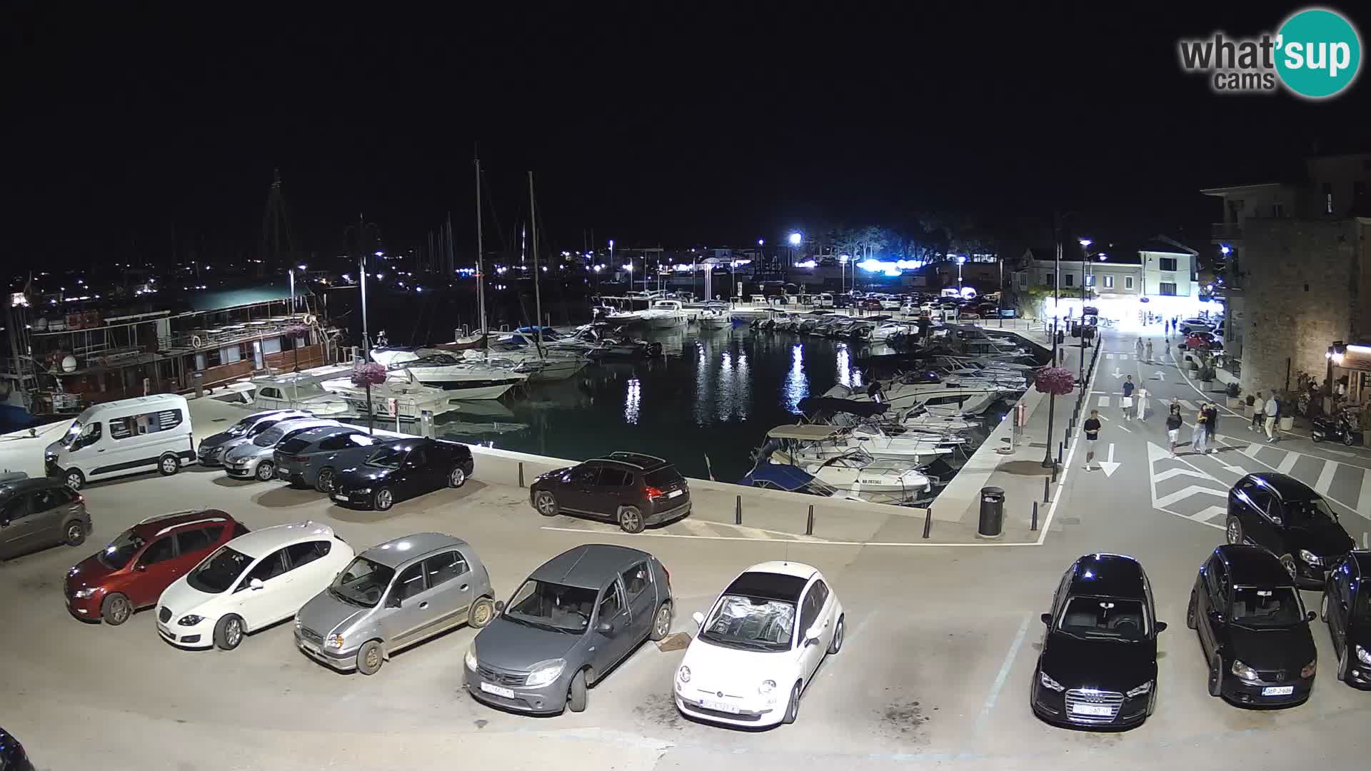 Novigrad | Porporela marina