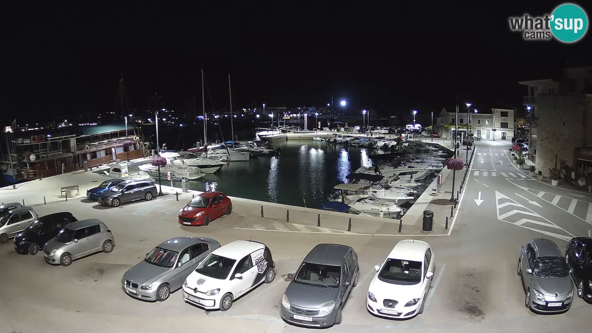 Novigrad | Porporela marina