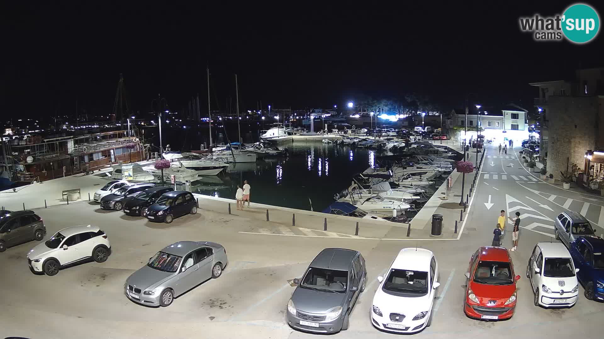 Novigrad | Porporela marina