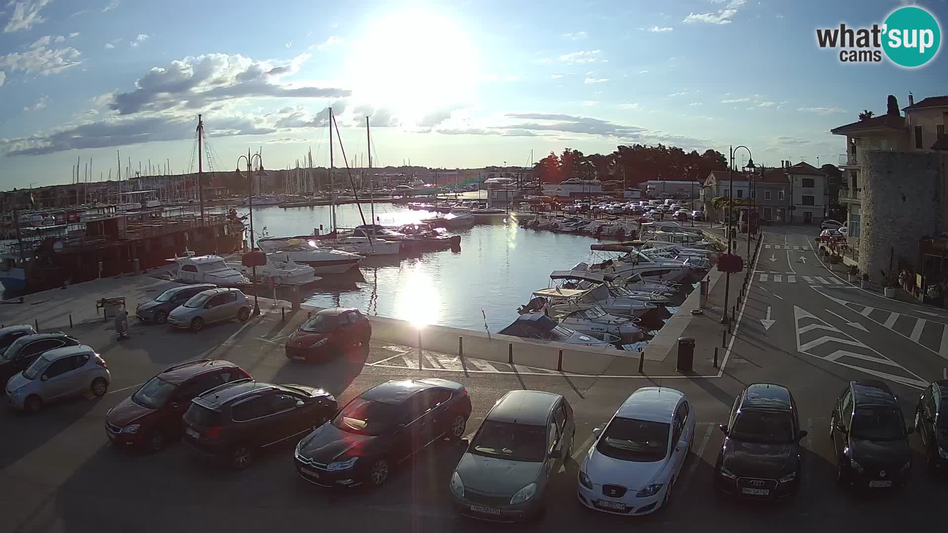 Novigrad | Porporela marina